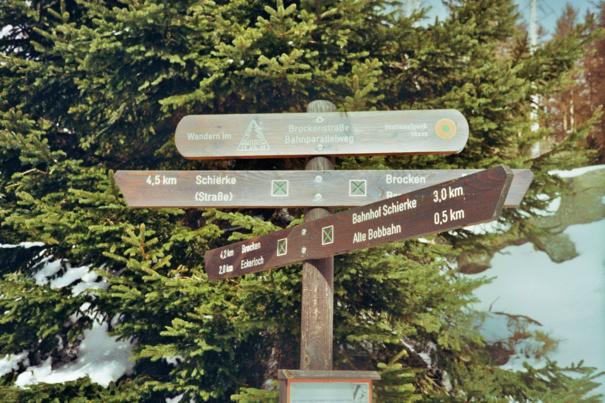 MrChrodo's tweet photo. Also die erste Ausbeute aus den Scans sieht doch ganz nett aus. :3
#analog #lomography #optima1035 #filmisnotdead #ishootfilm #kodak #colourplus #brocken #zug https://t.co/tWUOCqJt4u