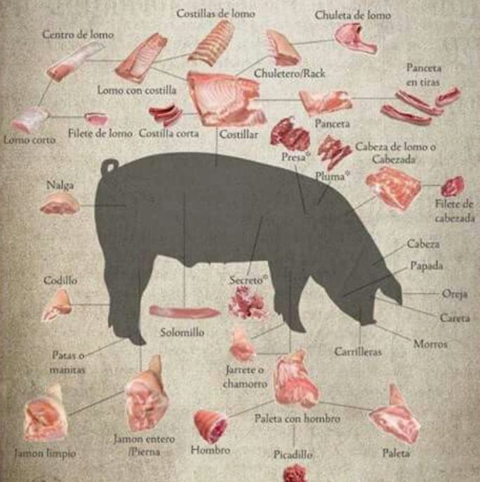 Como dice el refrán... "Del cerdo, hasta los andares". Descubre todas las partes del #cerdo
