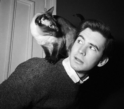 Happy Birthday to Anthony Perkins: Young Heartthrob , Distinguished Actor, Terrifying Psycho, and Lover of Cats. 