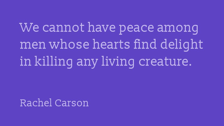 vgnvox's tweet photo. We cannot have peace among men whose hearts find delight in killing any living creature.-Rachel Carson https://t.co/n90xbGboGC
