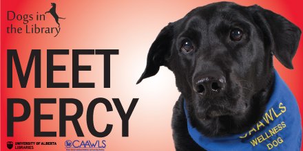 RutherfordLib's tweet photo. Dogs in the library are back at Rutherford tomorrow, April 5th from 2-4pm! Come meet our furry friends from @CAAWLS #ualberta https://t.co/BXxPE9Xyry