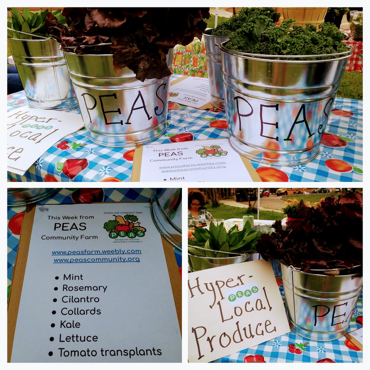 Great first farm stand for @peas_community!  Thanks @SFClocal for letting us become a partner with @CunninghamCobra!