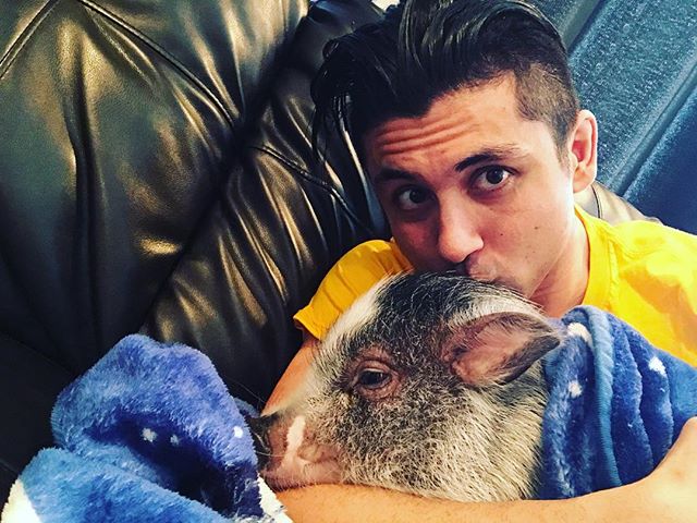 TJPerkinsNet's tweet photo. [INSTAGRAM] megatjp: Pig in a blanket https://t.co/81G4p5xxO1 https://t.co/uzcSPc3pTE