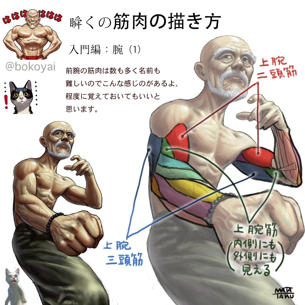 人体の構造 Min T ミント 人体の構造 Min T ミント