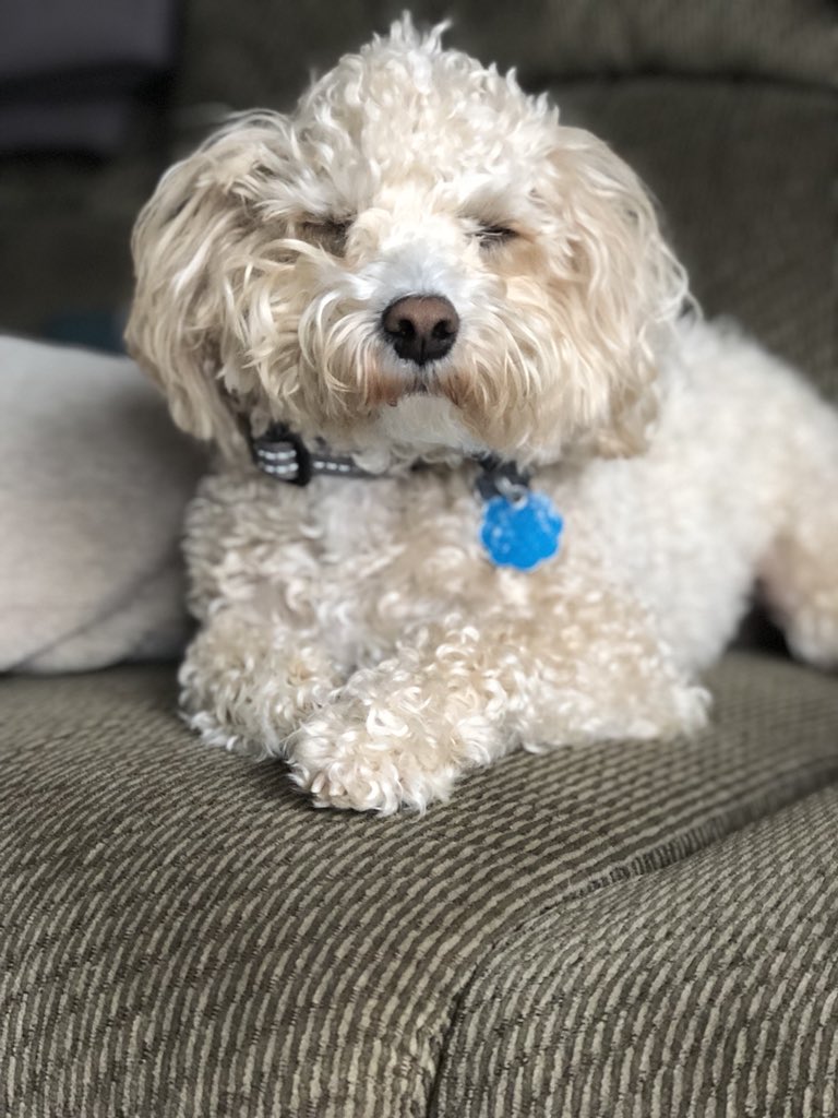 Cooper’s face when he realized he’s had to put up with me being a crazy aunt for 2 whole years. #gotchaday