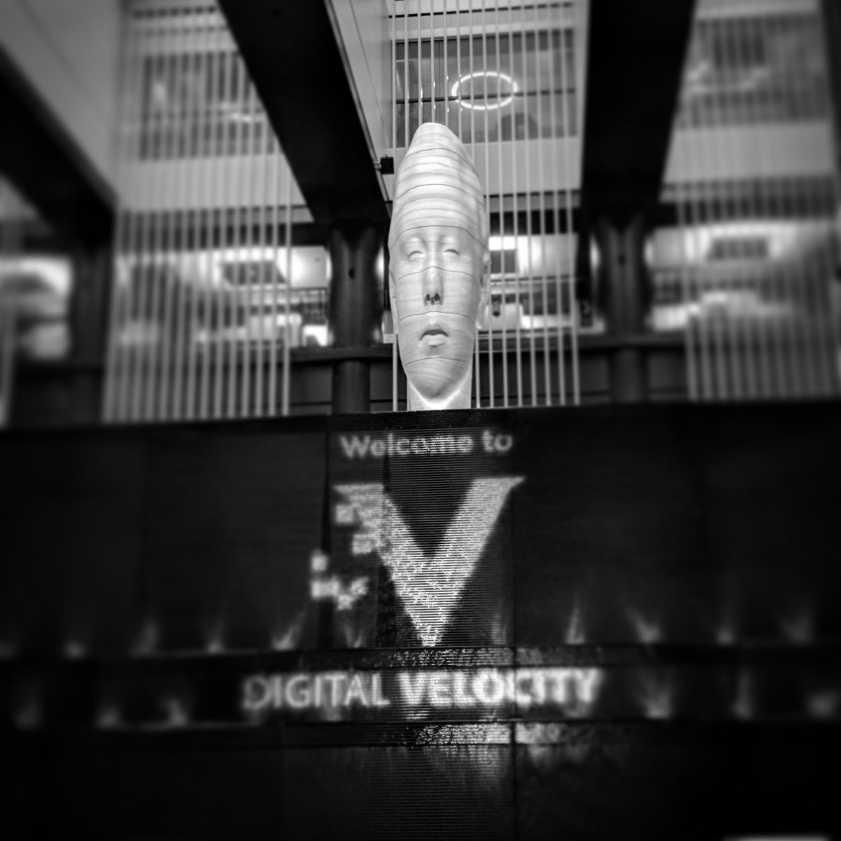 morrowgraphix's tweet photo. Showtime #dnyc @tealium https://t.co/caVEmG442n
