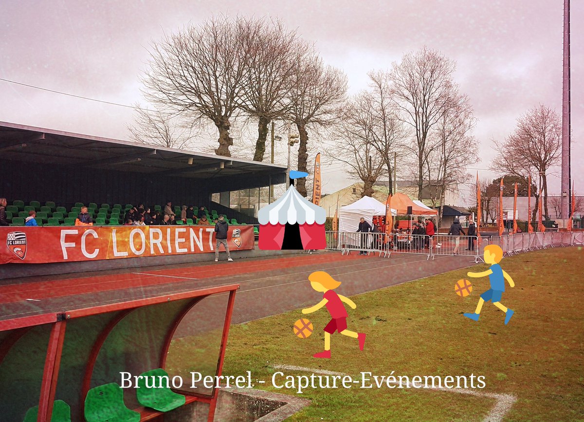 Perrel Bruno tweet media