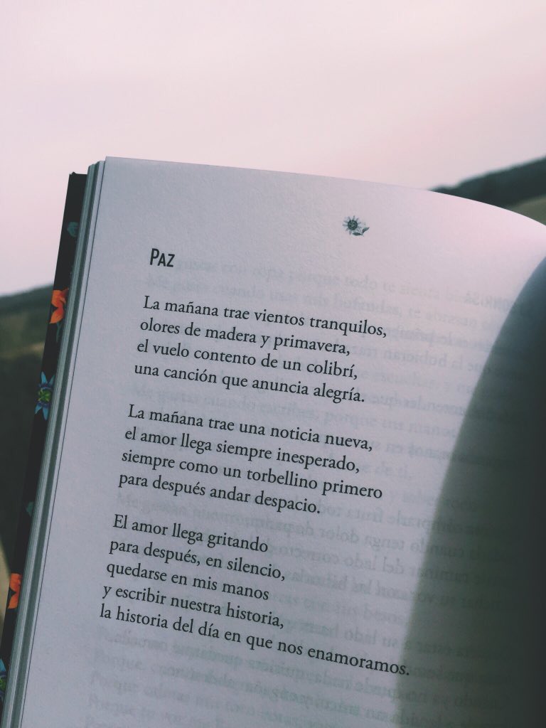 Paco Álvarez 🜃 on X: El amor llega gritando para después, en silencio,  quedarse en mis manos y escribir nuestra historia, la historia del día que  nos enamoramos. #misdiascontigo  / X