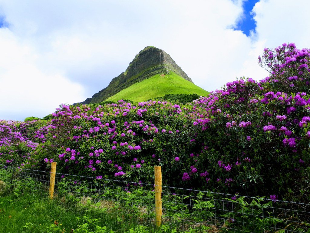 SligoWalks's tweet photo. RTÉ to Feature Sligo Walks on Tracks &amp; Trails https://t.co/PYtSec9Ez4 https://t.co/2P62GxcfYd