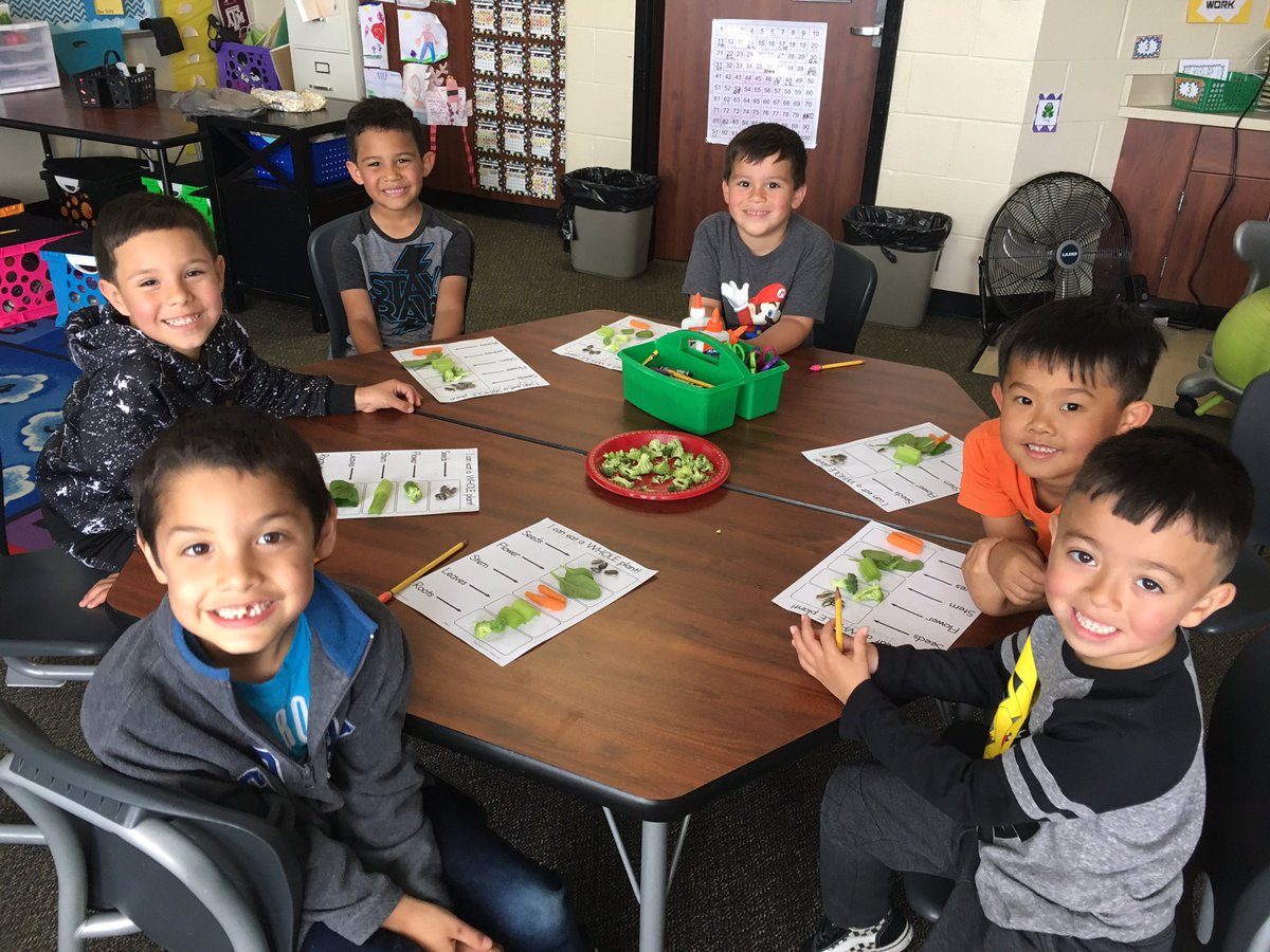 Eating parts of a plant 🌱 oh the joys of kindergarten! #leopardspotting <a href="/LakeshoreES/">Lakeshore Elementary</a> @mrsveron_lse