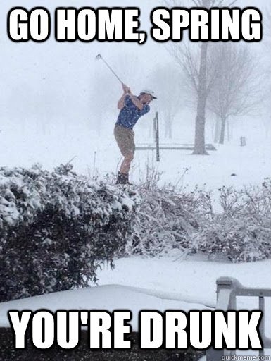 DogWatchTC's tweet image. #Spring #Beautiful #TankTopWeather