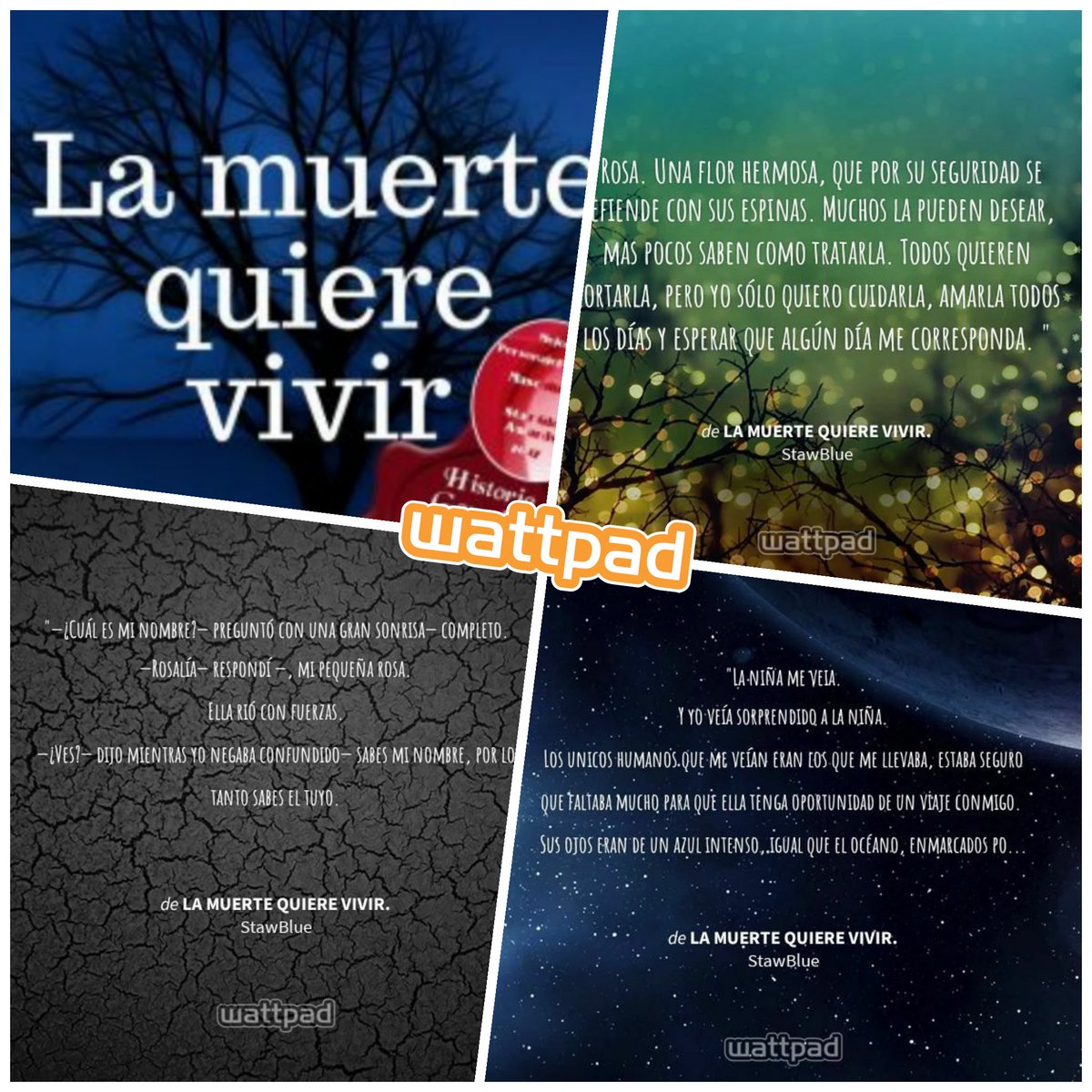 StarGlowAwards's tweet photo. El quiere reír. Él quiere llorar. Pero sobre todo quiere amar. Más la muerte siempre ha sido eso... La muerte.
https://t.co/o8Uuvw7yOP
#FrasesDeNovelas #Ganadores #StarGlowAwards2017 https://t.co/cWZLaf2ARx