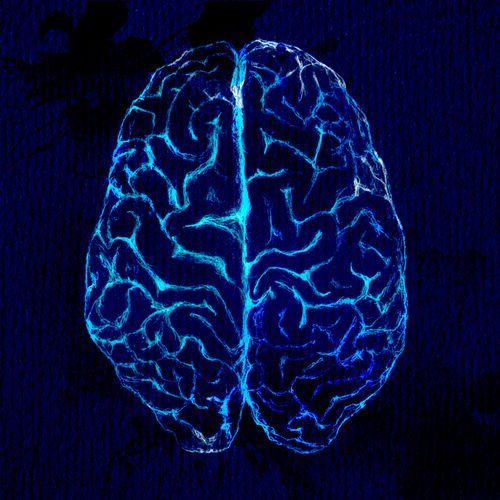 Stress can be good for your motivation, but constantly high levels of stress can be damaging and it's important to know how much you can cope with 😣

goo.gl/LnXJfV