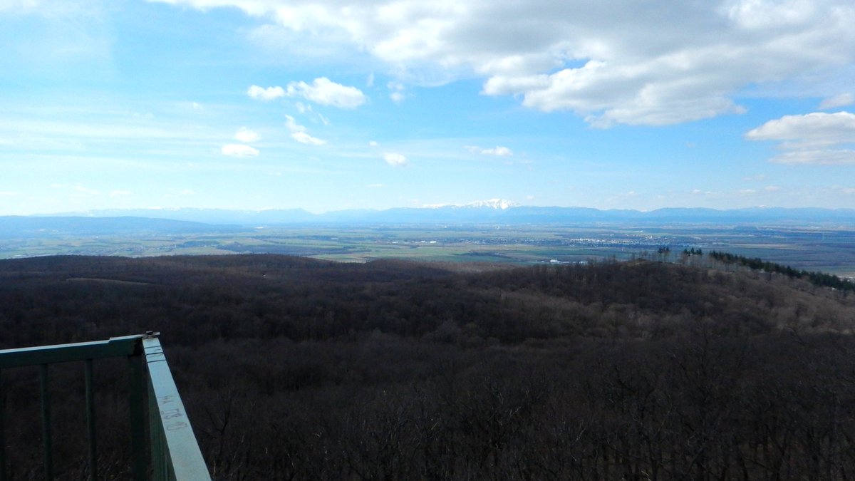 #Leithagebirge #Sonnenberg Blick zum #Schneeberg bit.ly/2Is4mKN