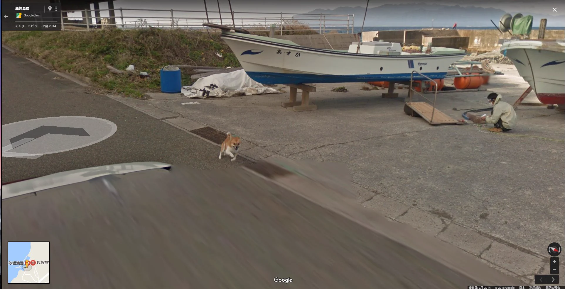 確かに怪しいからねｗ種子島でgoogleカーをずっと追いかける犬が写っているｗｗ