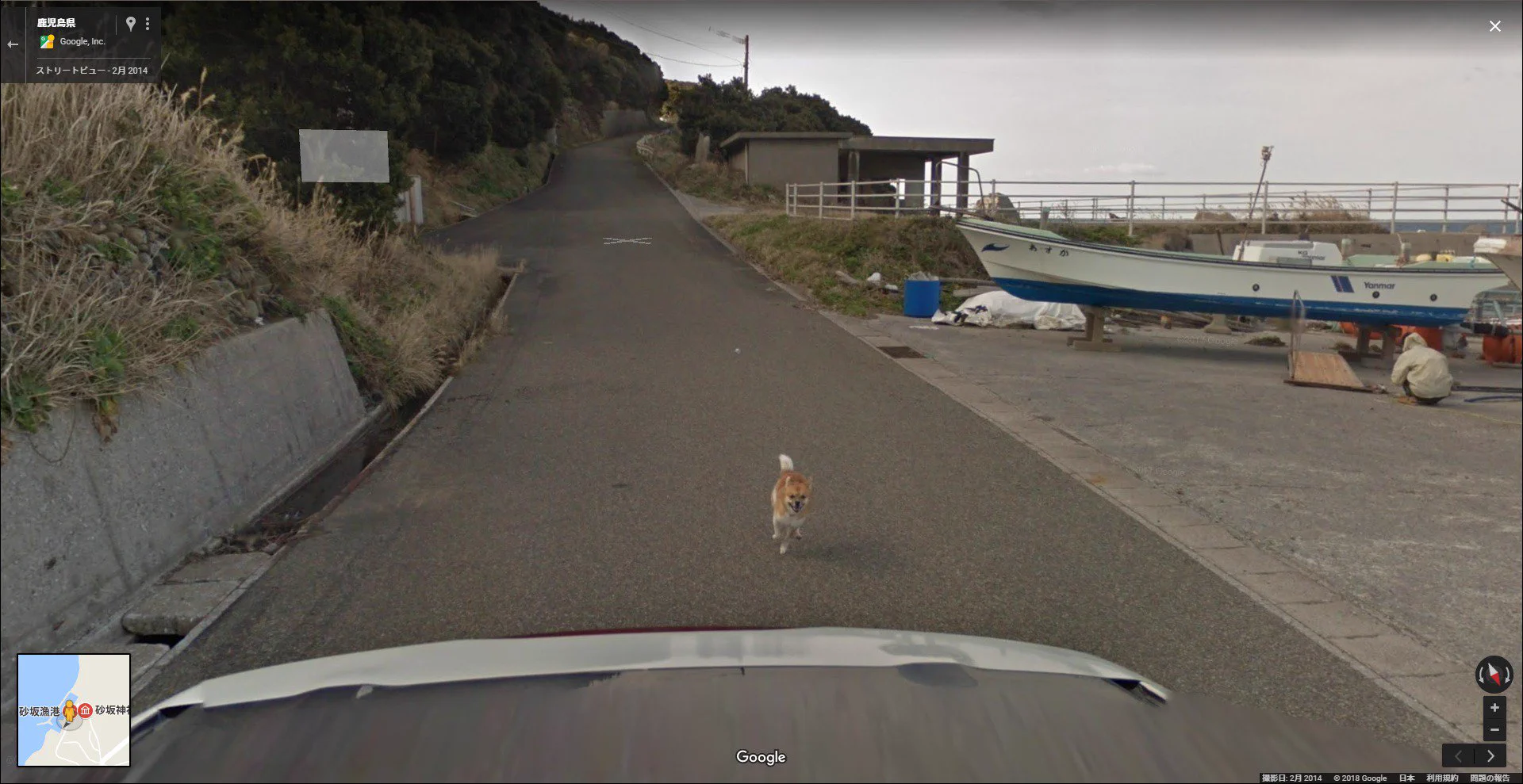 確かに怪しいからねｗ種子島でgoogleカーをずっと追いかける犬が写っているｗｗ