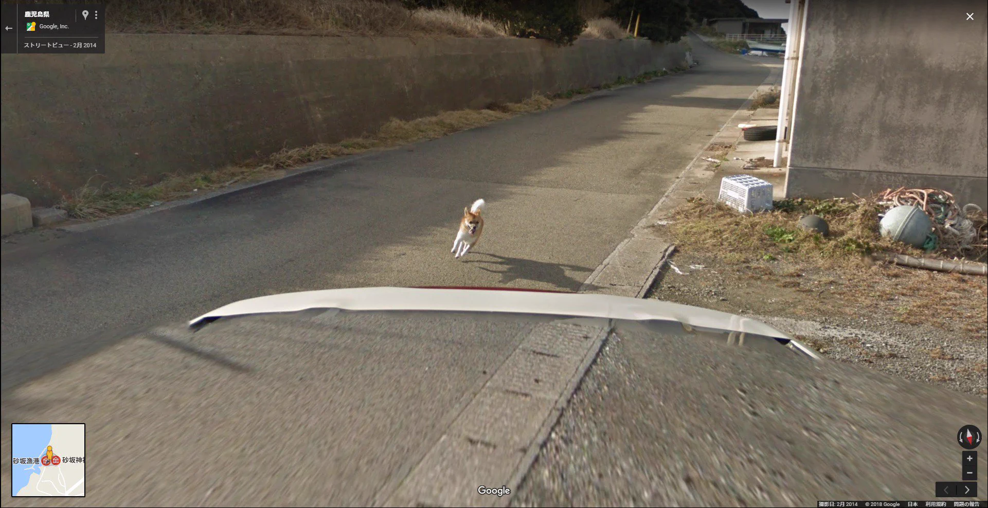 確かに怪しいからねｗ種子島でgoogleカーをずっと追いかける犬が写っているｗｗ