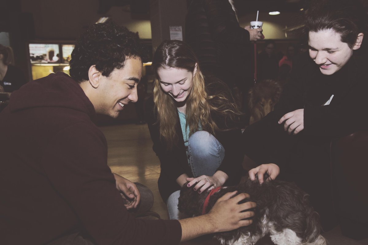 LoyalistCollege's tweet photo. Join us on campus today at noon for #UniversalBreak. Today’s activities include: Therapy Dogs, Ted Talks and a screening of the film Two Worlds Colliding in the Indigenous Resource Centre. Enter a draw in the Dining Hall for a chance to win a gift card! #DestinationLoyalist #UB https://t.co/vpu6WgQGtC