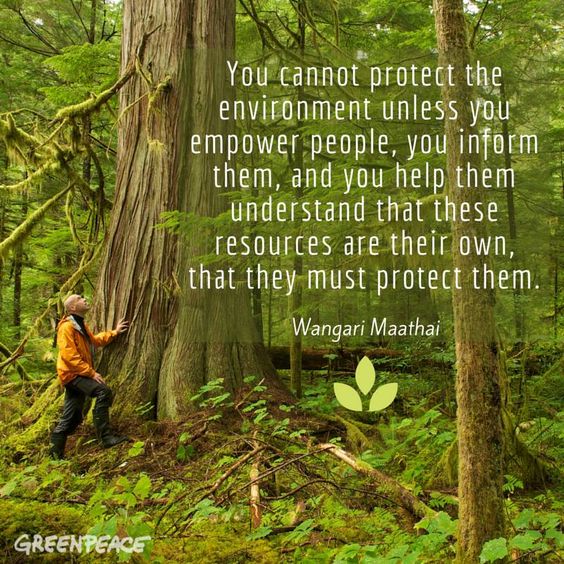 Empower people to protect the environment. #spreadawareness #saveplanet #GoGreen