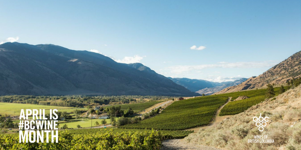 BCWine's tweet photo. The terroir of the #SimilkameenValley wine region averages 1,360 growing degree days. Various soil types, include stony, gravelly, & silty loams from glacial rock formation. Discover more with 15 licensed wineries!
Visit: https://t.co/CGZ0HSewIf
#BCWine #BCVQA #BCWineMonth https://t.co/NCGXX87r8Z