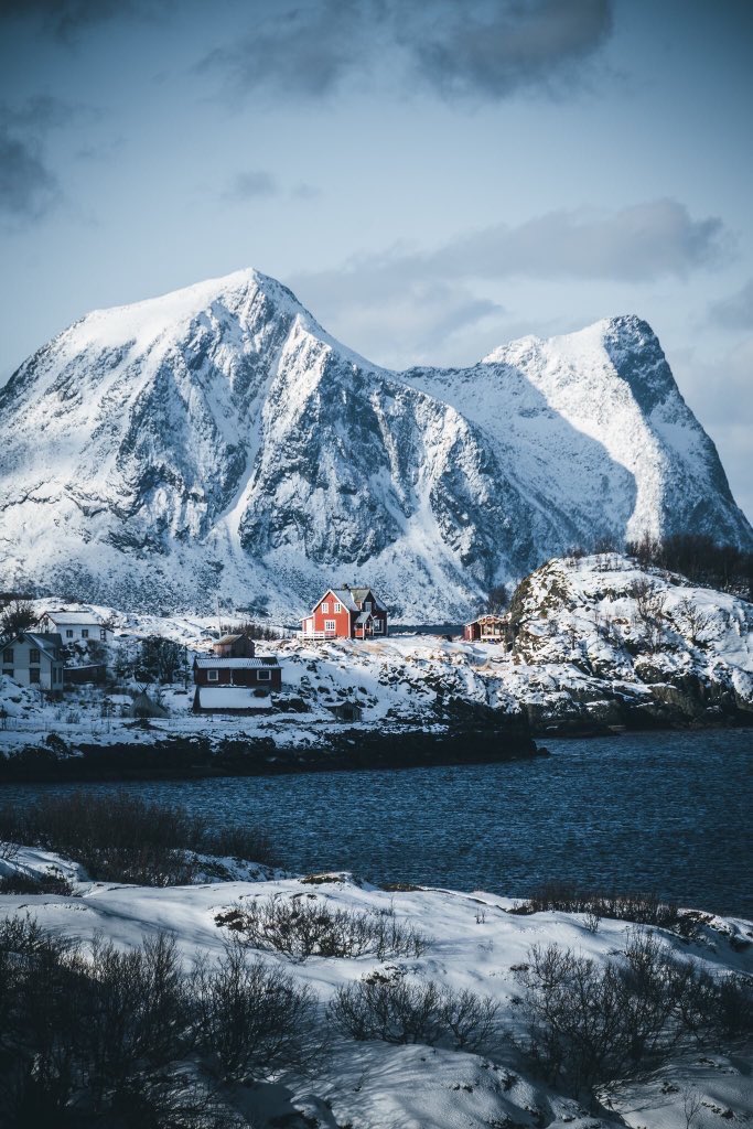 Discover Earth tweet media