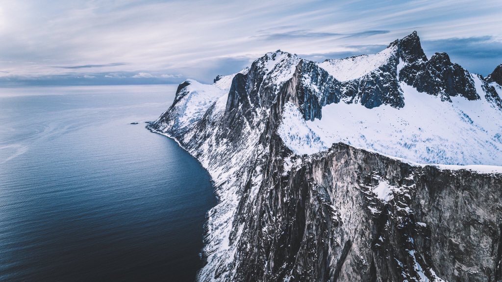 Discover Earth tweet media