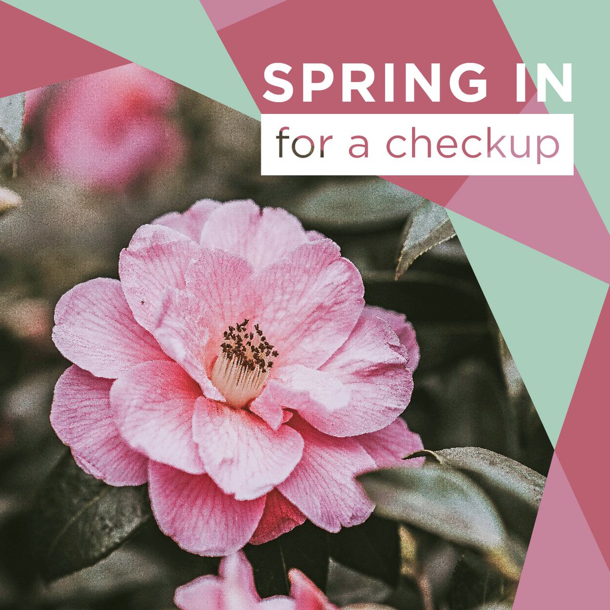 drjerrydunn's tweet photo. WINTER IS FINALLY OVER, so we hope you’ll SPRING in for your check-up! Call us today!  #ir... https://t.co/nif9TfRbj4 https://t.co/QJIu647SVF