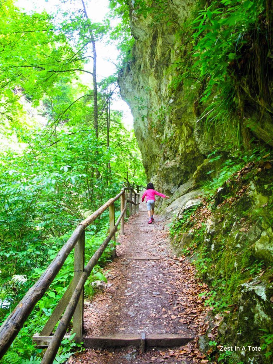 zestinatote's tweet photo. Travel with your kids and make them love the world. Spend time with them doing activities. Make them understand that your culture, food, your way of thinking is not the only way.
New on the Blog: https://t.co/DKR5LSRTYM
#SayYesToTheWorld #BloggerContest https://t.co/jbAgUci6RT