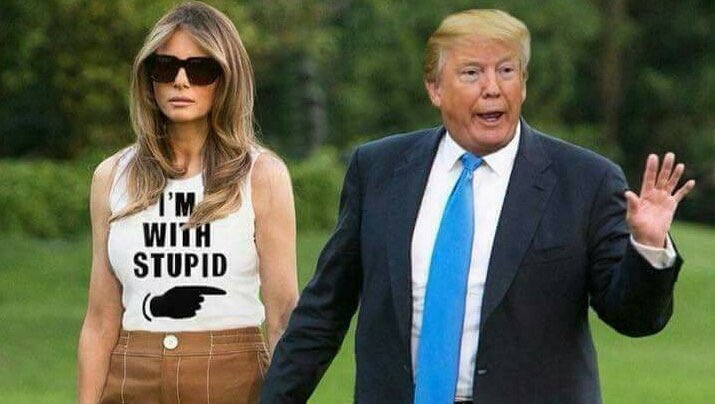 DEREKFROOD's tweet image. This is hilarious. Does #SpankyThePresident actually believe what he is saying? I think not and it is an insult to the memory of Dr King. #CadetBoneSpurs needs to seriously practise what he preaches. #FakePresident #ImpeachTrump #