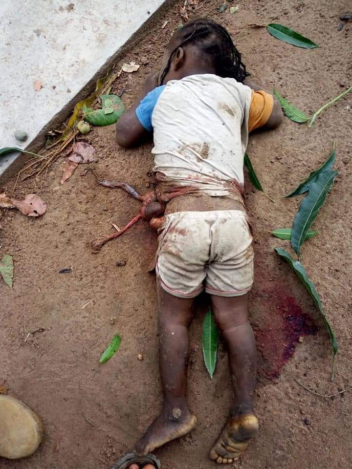 LinkisPaul's tweet photo. Fulani herdsmen at it again in Nigeria 
Christians are in trouble in Nigeria 
Is heart breaking as so called Christian countries are silent over this #free biafran people for peace to rain #separate Christians from Muslims in Nigeria @realDonaldTrump @VP https://t.co/LwigN5d50I