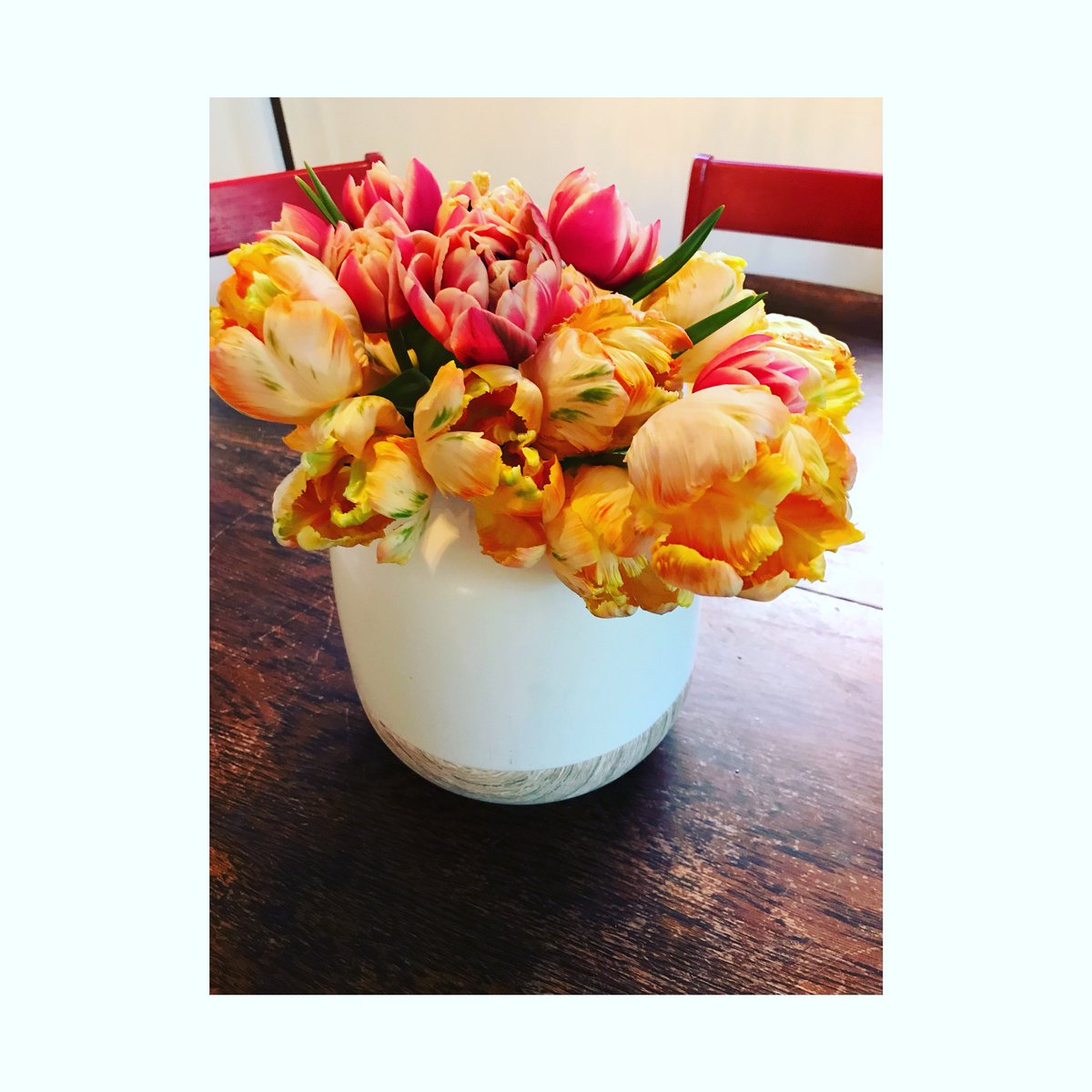 BloomBloomRoom tweet picture