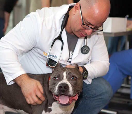 Through our grant programs, the <a href="/Banfield/">Banfield Pet Hospital</a> Foundation is committed to supporting nonprofit organizations that provide veterinary assistance to pet owners and work to keep pets in homes with their families. Learn more here: ow.ly/5Dcf1011tAS