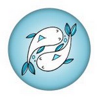 midbrainprogram tweet picture