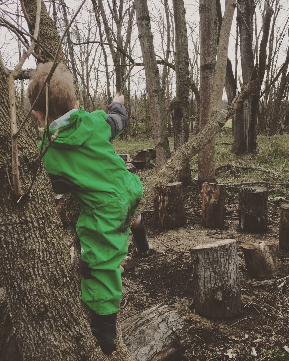 Have you climbed a tree today? #childhoodunplugged #playmatters #optoutside #kidsinnature #natureplay #wildandfreechildren #outdoorkids #subscriptionbox