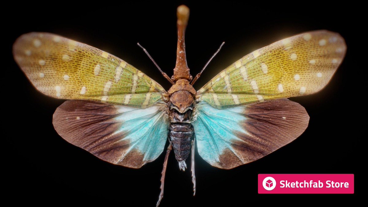Sketchfab's tweet image. Store staff pick: Pyrops Pyrorgyncha Borneo by Polygonal Miniatures. Buy it now for your #3D, #AR, or #VR projects: skfb.ly/6xOYp?utm_sour… #3dscan