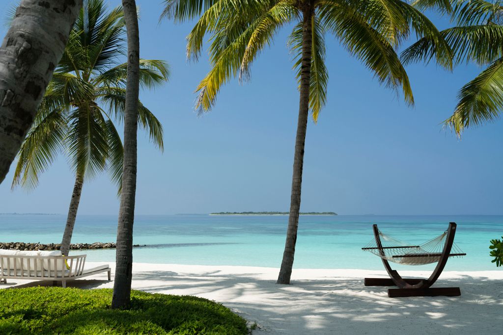 fabrizionannini's tweet photo. Chill out under a palm tree
#fabrizionannini @fabrizionannini
@chevalblancofficial @chevalblancrandheli #chevalblancrandheli 
#maldives #ocean #beaches #reef
#luxury #luxurylifestyle #luxuryliving #luxurylife https://t.co/RKHOJj5wGB