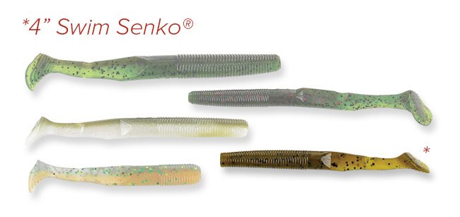 BagwellFishing's tweet photo. What is your favorite trailer for Bladed jigs and Spinnerbaits? Mine is the 4" Swim Senko from @yamamoto_fishing The paddle tail adds a lot of added movement to the bait. #bassfishing #fishing #swimsenko #bassmaster #flw https://t.co/Qjzs3blgJN