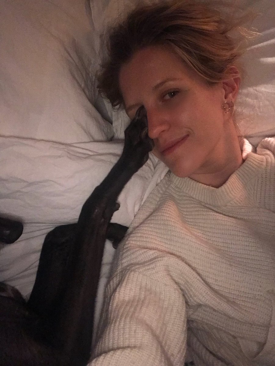 CalandraC's tweet image. Greyhound revenge.