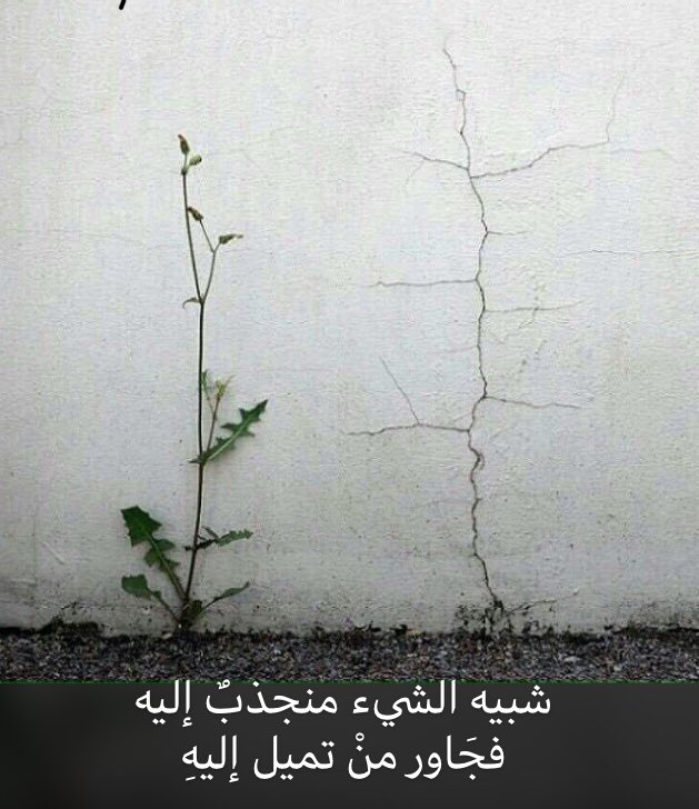 algabrymurshid's tweet photo. إذا كنت حياً عليك أن تصدر ضجيجاً، عليك أن تستمتع مع الآخرين، لأن الحياة نقيض الموت تماماً! الموت هو أن تبقى في الوضع نفسه إلى الأبد! ¶#تصبحون_على_سعادة ✍🏻 https://t.co/uucFwMk9ZS