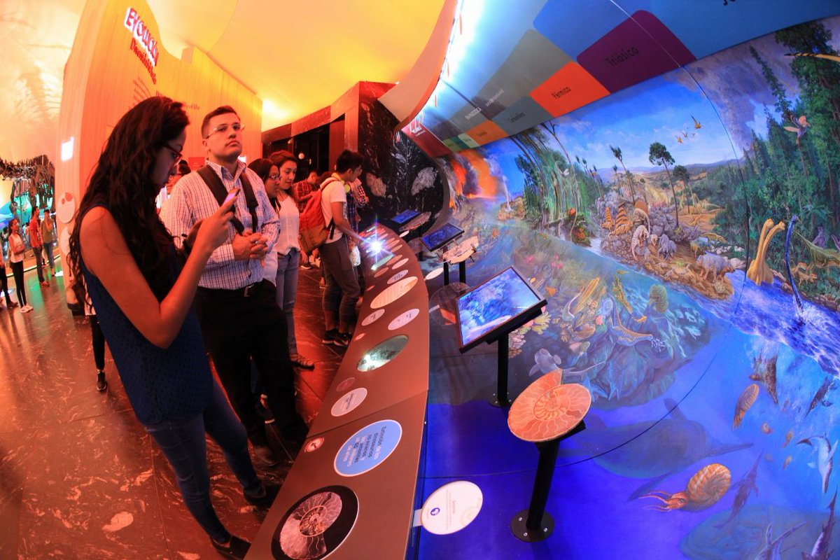 Secretaría del Medio Ambiente в Twitter: "El @MHNCA_CDMX es una ...