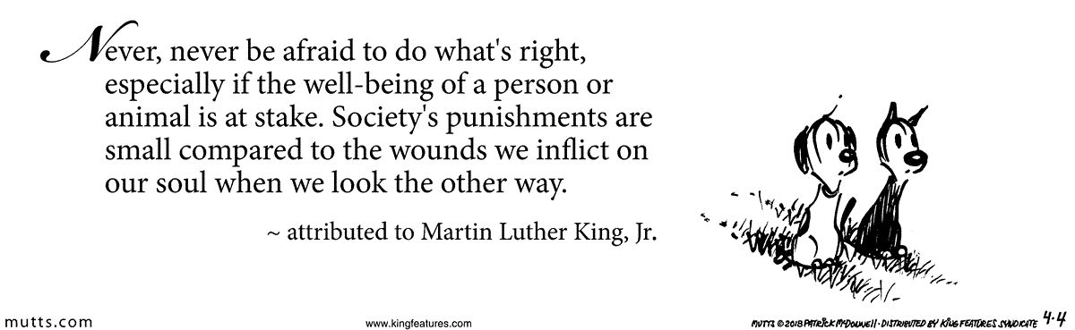 Dr MLK Quote 