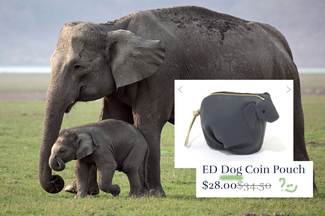 _la_emma's tweet photo. Dear @portiaderossi,

I have encountered a tiny mistake in Ellen's online shop. I think that is highly misleading. Please let her know. 

Best and kindest regards,
Emma. https://t.co/0Ji6DN7JN8