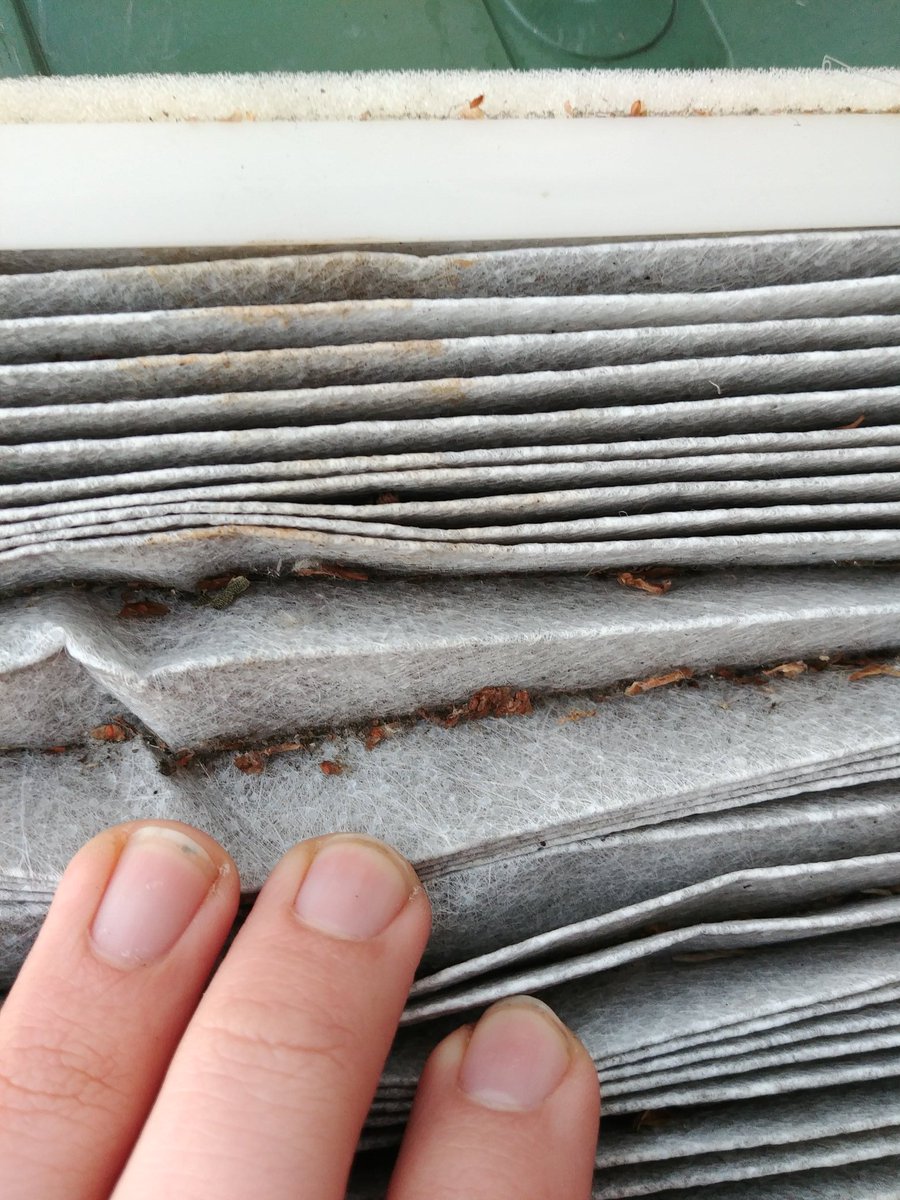 IndecisiveAuto's tweet image. Well that was probably overdue #pollenfilter