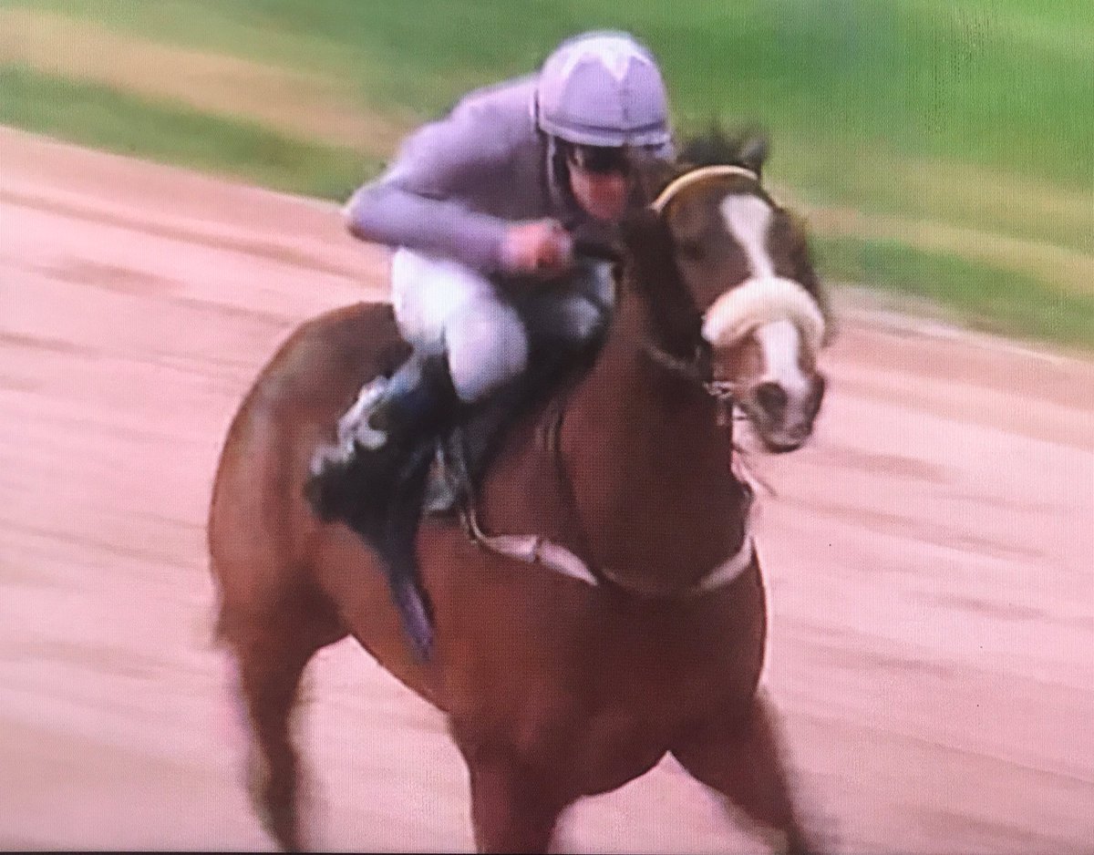 amajox's tweet photo. Congrats @amajox @rossbirkett wins @mint_bet @Southwell_Races #LimerickLord @JuliaFeilden #topjock 🏆👏👍🎉🍾 https://t.co/A8tjcCxRbL