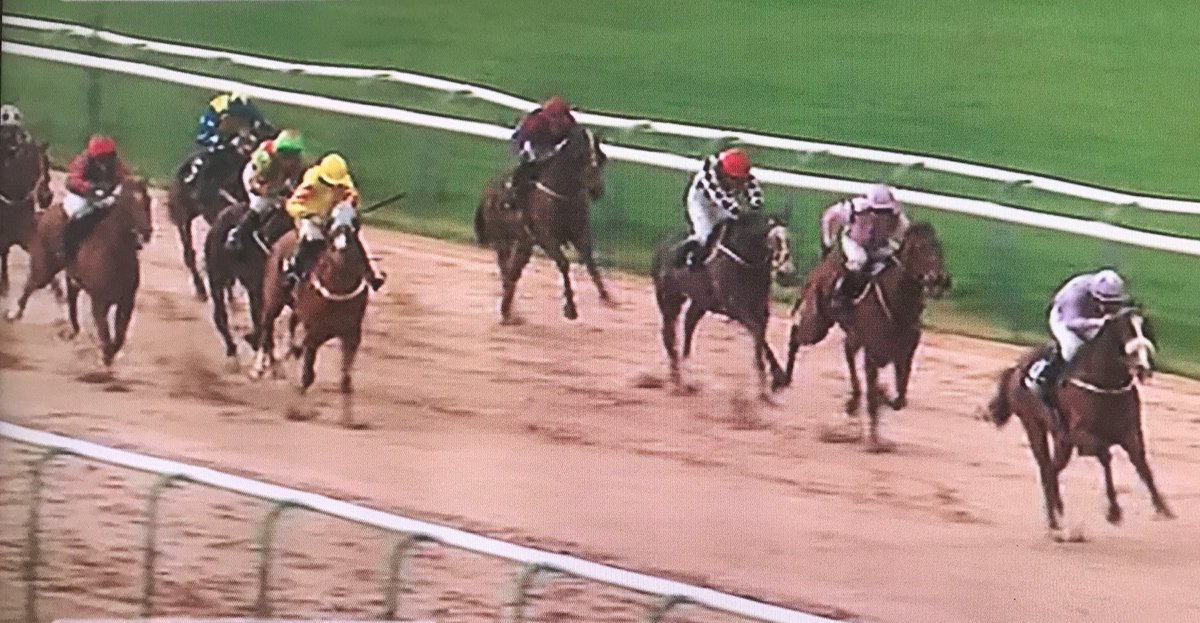 amajox's tweet photo. Congrats @amajox @rossbirkett wins @mint_bet @Southwell_Races #LimerickLord @JuliaFeilden #topjock 🏆👏👍🎉🍾 https://t.co/A8tjcCxRbL