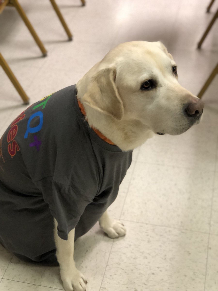 LGBTQCaucusVT's tweet photo. Such a great turnout to today’s Lunch Q*nnection! Our biggest one yet! Special thanks to @kpdepauw, @luisaem, and @MPC0407 for joining us! #VTPrideweek #LGBTQHokies
We also got a special visit from @CCCatVT’s therapy dog, Moose! https://t.co/B99dggvJIz