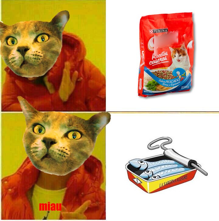OhMyCoinNet's tweet photo. "Ese gato es un capullo jajaja" por @Mateo_Rivera28
 #ohmycoin #ohmyx #ohmycoinnet https://t.co/7nPvYLgauj