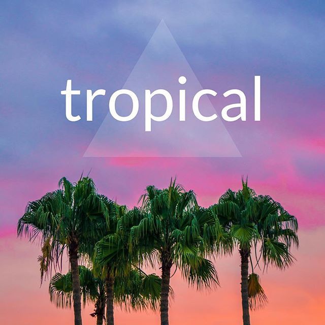 jumpsuitrecords's tweet photo. Hope everyone is having an amazing day! Here's the newest Jumpsuit playlist featuring tropical vibes from @scottnice @thepolishambassador @wildlightmusic &amp; more!
https://t.co/OYedAl6wKG https://t.co/5n3jvFDxpq https://t.co/fyI2Kw4c99
