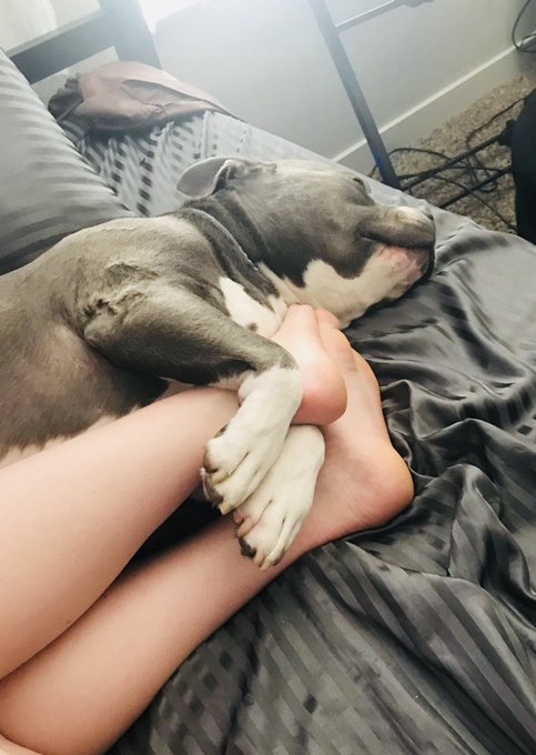 Good morning https://t.co/4UL6QIsgEB<a href="/tag/zoeypaige"class="tags"><span>#zoeypaige</span></a>