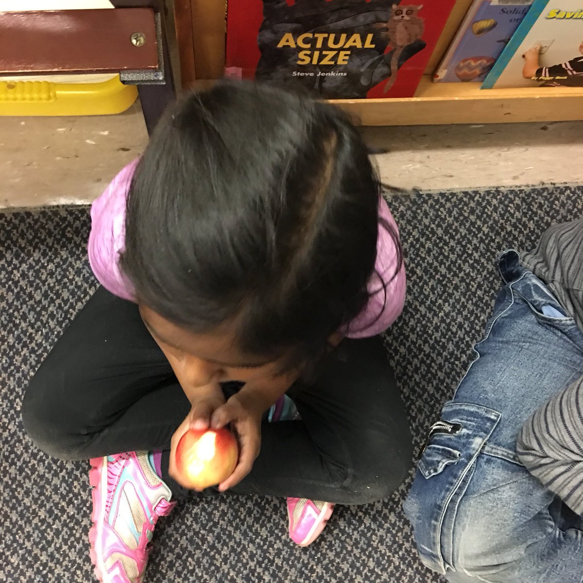 gillis_mrs's tweet photo. M2 participating in the #greatbigcrunch at the same time with all students @tdsb_JDP. #FoodShareTO https://t.co/nH5QvXtzXn